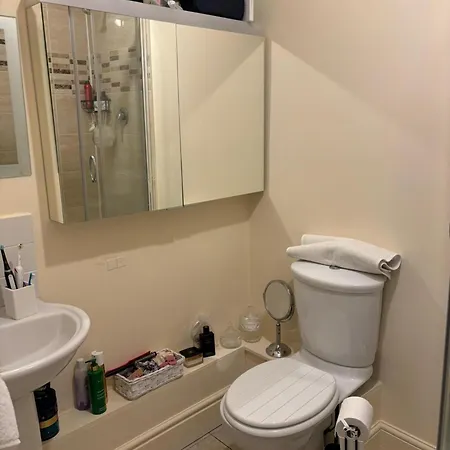 Apartment Modern 3 Bedrooms Near Dundrum